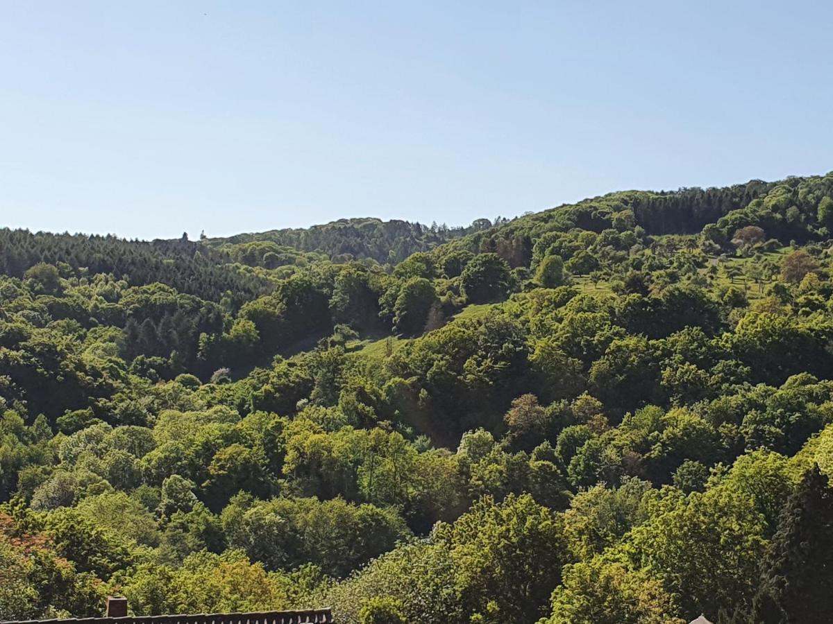 Die Gruene Oase Am Rheinsteig 2 Zkbuwc Нойвид Экстерьер фото